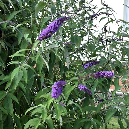 Vakantiehuis Auf Poetsch Minderlittgen