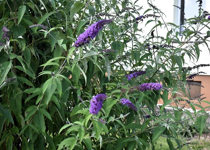 בית נופש Auf Poetsch Minderlittgen